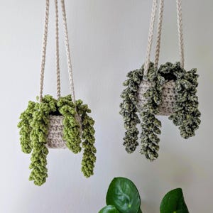 Crochet Hanging Plant, Trailing Plant in Basket