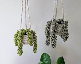 Crochet Hanging Plant, Trailing Plant in Basket