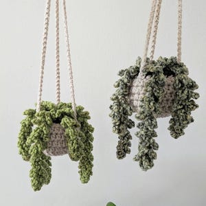 Crochet Hanging Plant, Trailing Plant in Basket