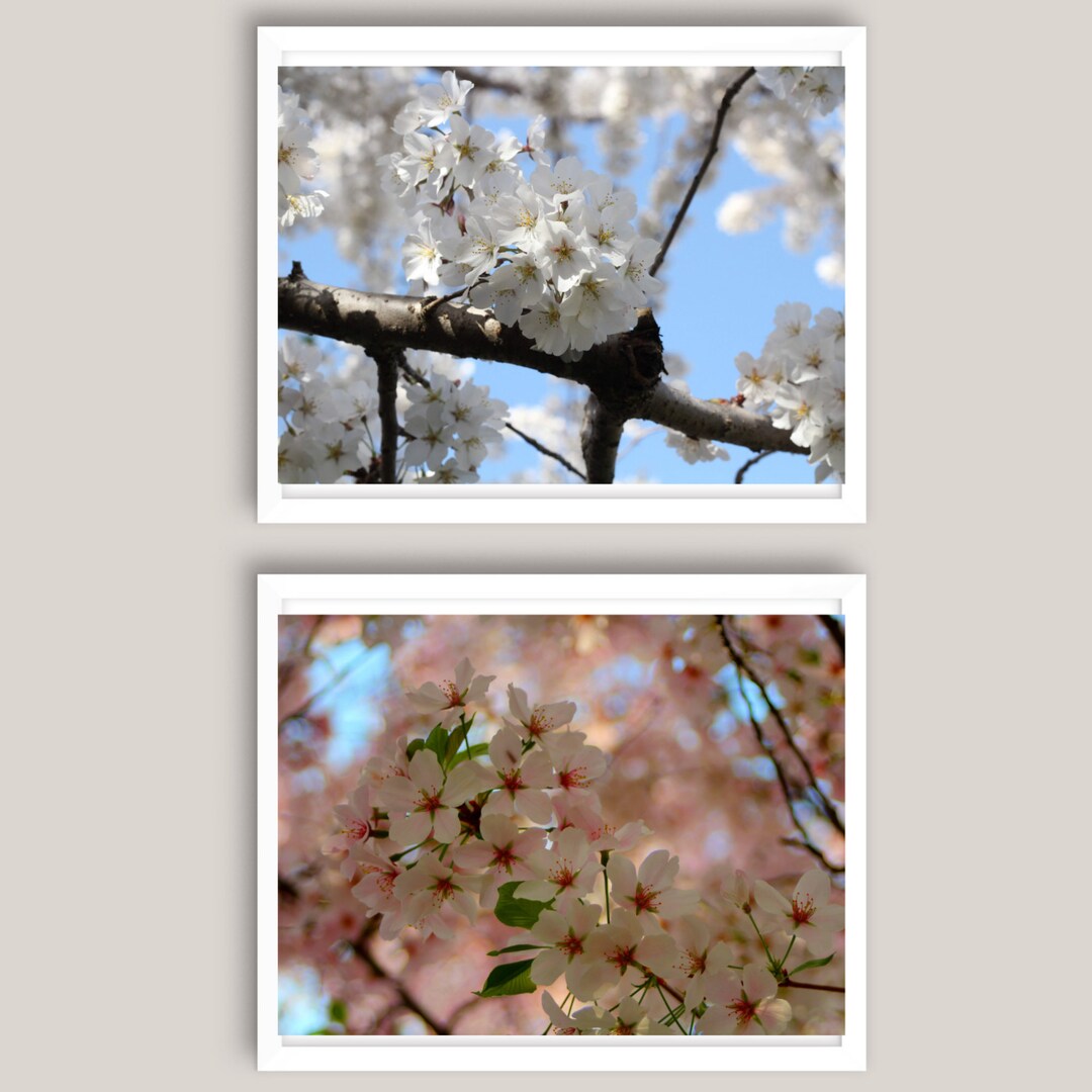 Printable Art Cherry Blossom Cherry Blossom Wall Print - Etsy