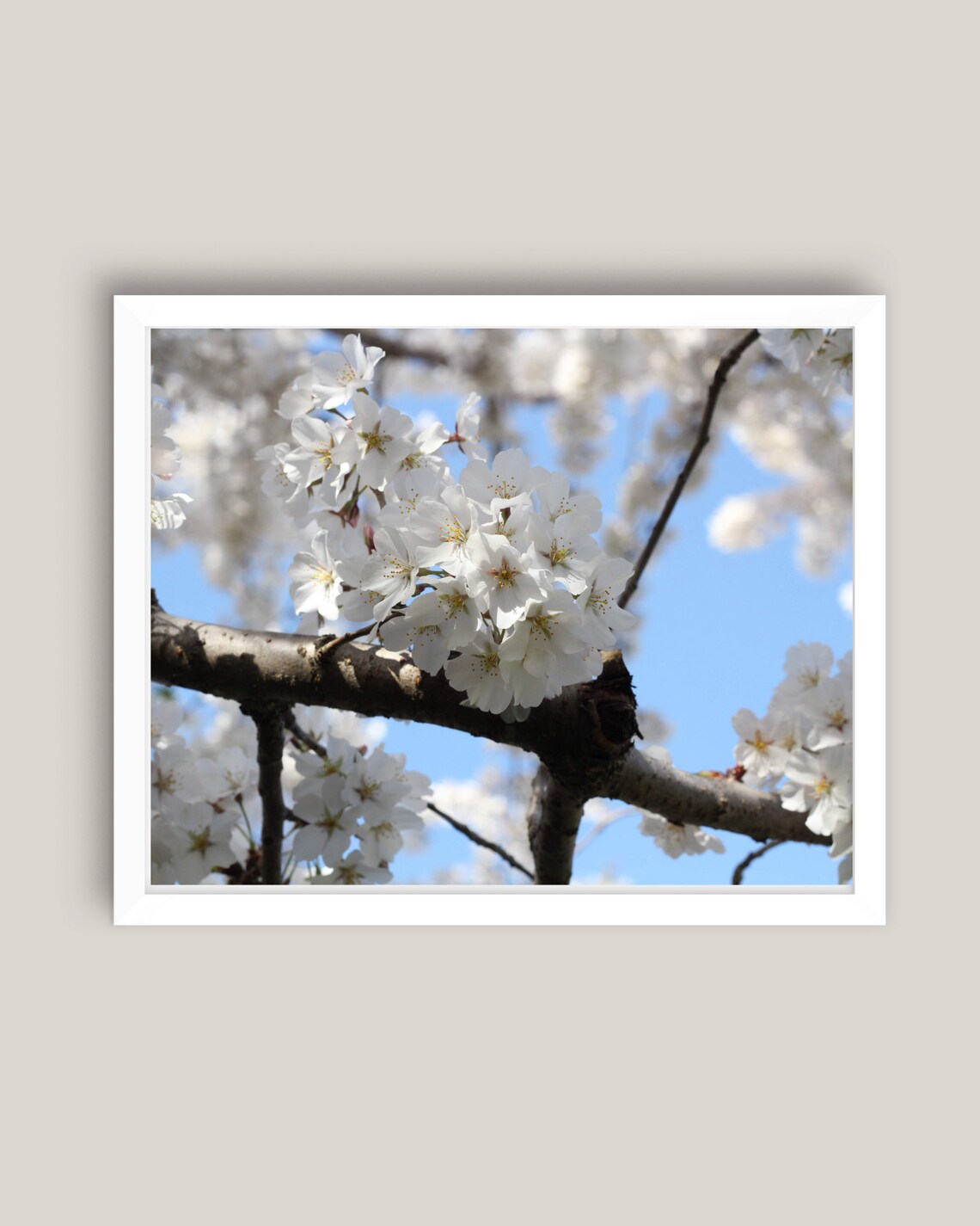Printable Art Cherry Blossom Cherry Blossom Wall Print - Etsy