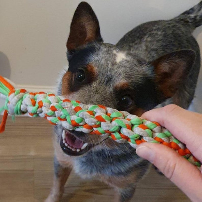 Eco friendly large braided dog tug toy made from tshirt yarn Etsy