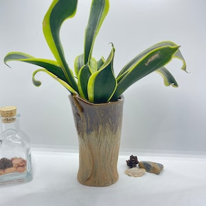 Planter Handmade Ceramic Vase Style Succulent Plant Pot