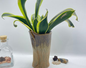 Planter Handmade Ceramic Vase Style Succulent Plant Pot