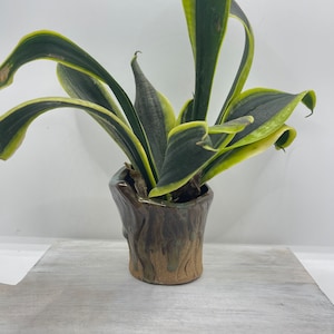 Planter, Vase Style, Succulent Plant Pot, Handmade Ceramic