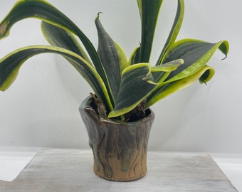 Planter, Vase Style, Succulent Plant Pot, Handmade Ceramic