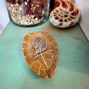 May include: A small, brown, turtle-shaped dish with a gold leaf design on top. The dish is sitting on a teal surface.