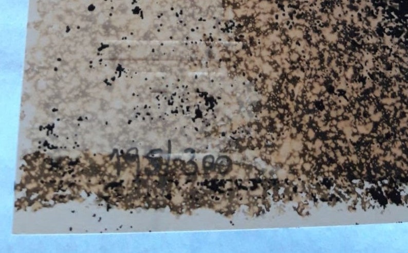 Cartaz Assinado - Oxímoro - Alexandre Farto (VHILS) - Edição limitada de 300 exemplares - Serigrafia manual - 2020 imagem 3
