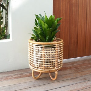 Puede incluir: Una jardinera cilíndrica de ratán con un diseño tejido, que contiene una planta verde vibrante. La jardinera tiene tres patas curvas y está colocada sobre una terraza de madera. El fondo presenta una pared blanca y una puerta de madera.