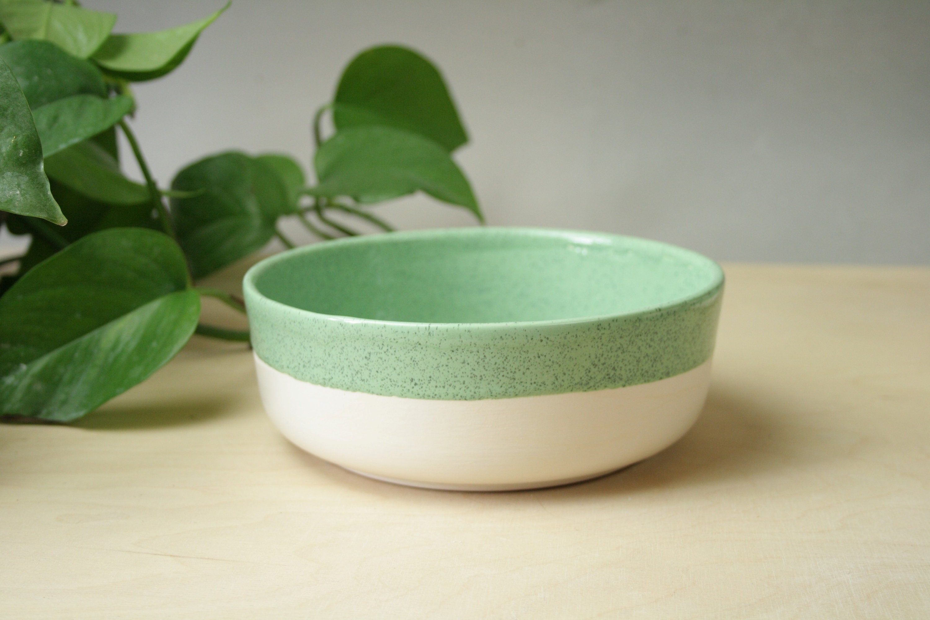 ceramic dog bowls medium