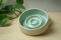 Handmade Turquoise Ceramic Slow Feeder Dog Bowl product logo