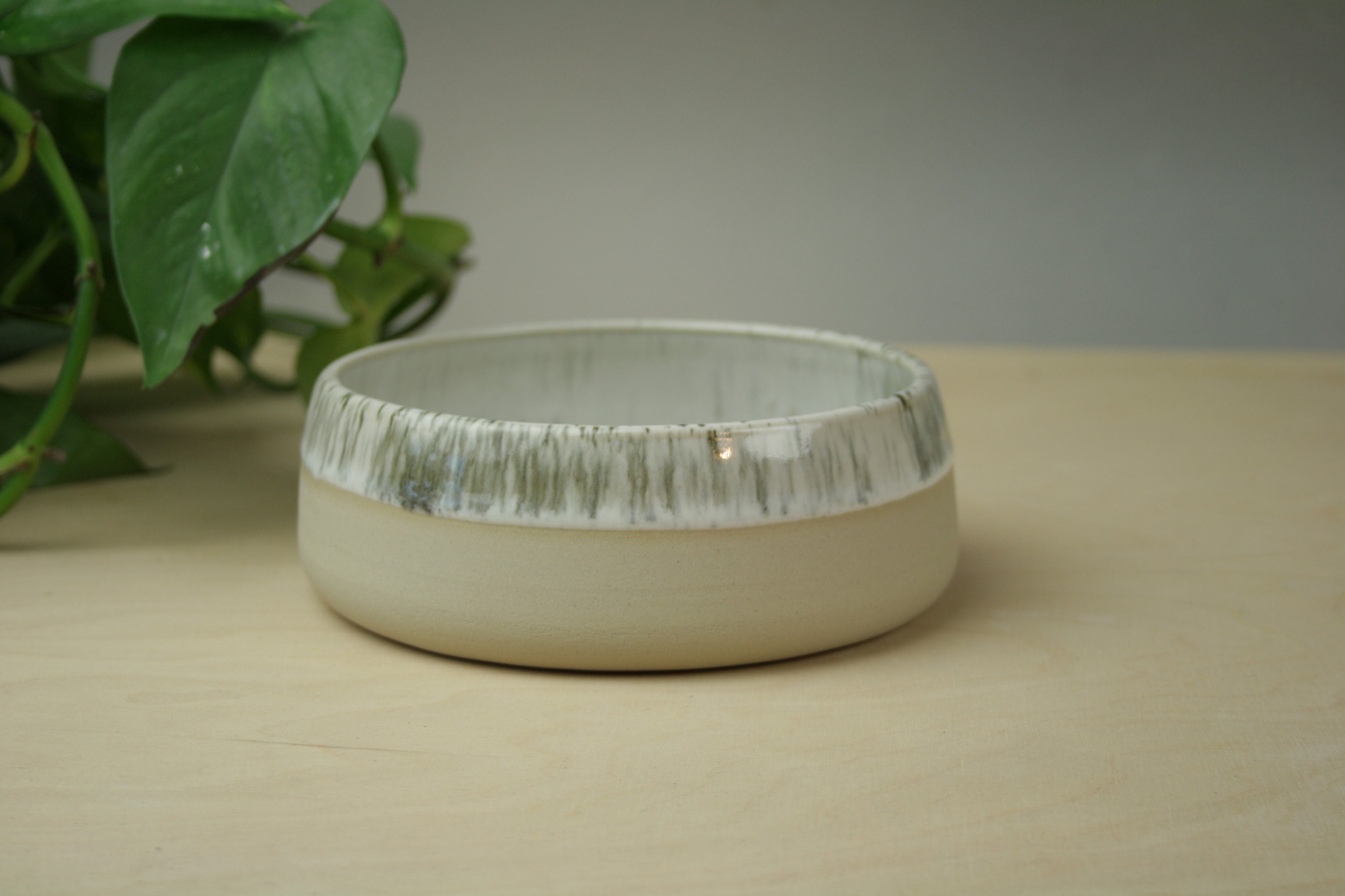 ceramic dog bowls medium