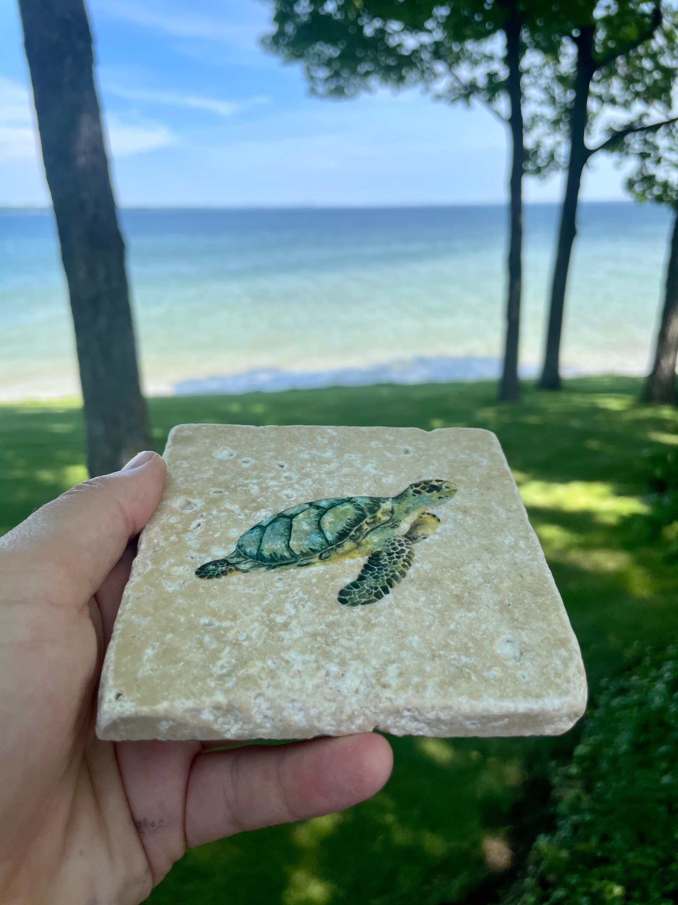 Sea Turtle Gifts Turtle Gifts Sea Turtle Coaster Turtle Etsy