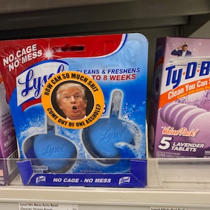 Political Humor Stickers: Anti-Trump Asshole Decals, Indoor/Outdoor Use (12 Pack) Stickers image 6
