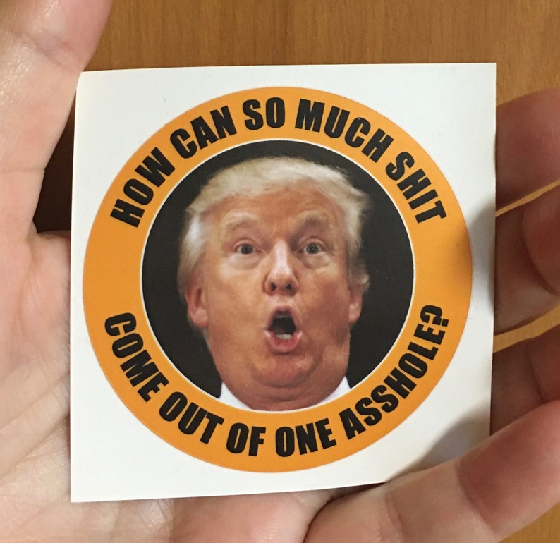 Political Humor Stickers: Anti-Trump Asshole Decals, Indoor/Outdoor Use (12 Pack) Stickers image 1
