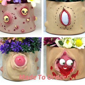 Weird Art Plant Pot: Funny Odd Design, Succulent Planter