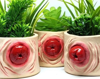 Prolapse Plant Pot: Weird Creepy Home Decor