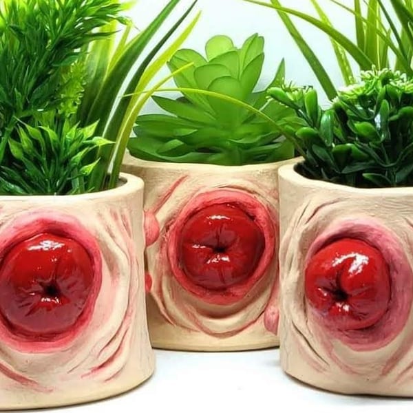 Prolaps Plant Pot: Konstig, kuslig heminredning