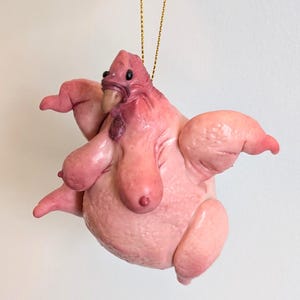 May include: A whimsical, pink chicken ornament with a unique, fleshy appearance. The ornament is suspended by a gold string and features a detailed, textured surface. The chicken has a prominent beak, comb, and wattle, with outstretched wings and legs.