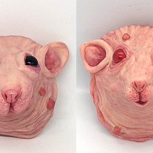 Rat face magnet magnet, weird rat gift, unusual gift, art sculpture, weird magnet, rat lover gift, sphynx rat, hairless rat, rat gifts