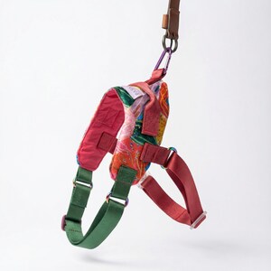 May include: A colorful dog harness with a floral pattern, featuring red, green, and pink straps. The harness is suspended by a brown leather leash and a purple carabiner clip. The word "PASA" is visible on the harness.