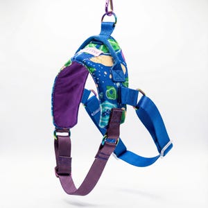 May include: A blue dog harness with a colorful pattern featuring green, yellow, and purple shapes. The harness has a purple interior, blue straps, and a metal clip. The text "PASA" is visible on the harness.