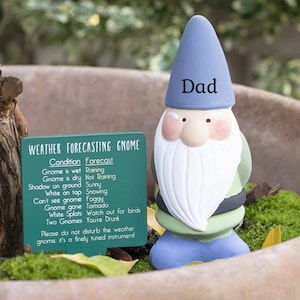 15cm Novelty Weather Forecasting Garden Gnome Ornament Decoration Funny Gardeners Gift Option to Personalise Grandad’s Dad’s Garden Gifts