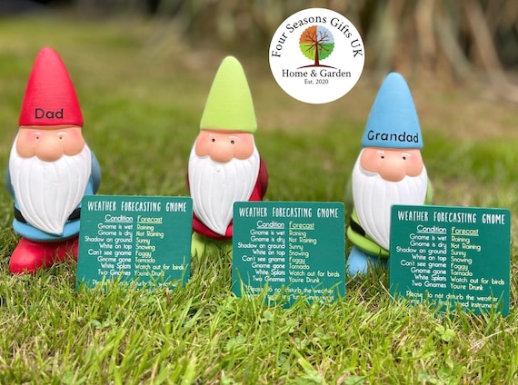 Personalised Weather Forecasting Garden Gnome: Funny Novelty Ornament Gift