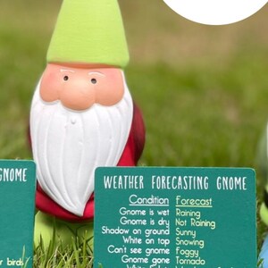 Personalised Garden Gnome Gift, Funny Weather Forecasting Gnome, Dad Grandad Gift, Custom Name Gnome Ornament, Novelty Garden Decor image 3