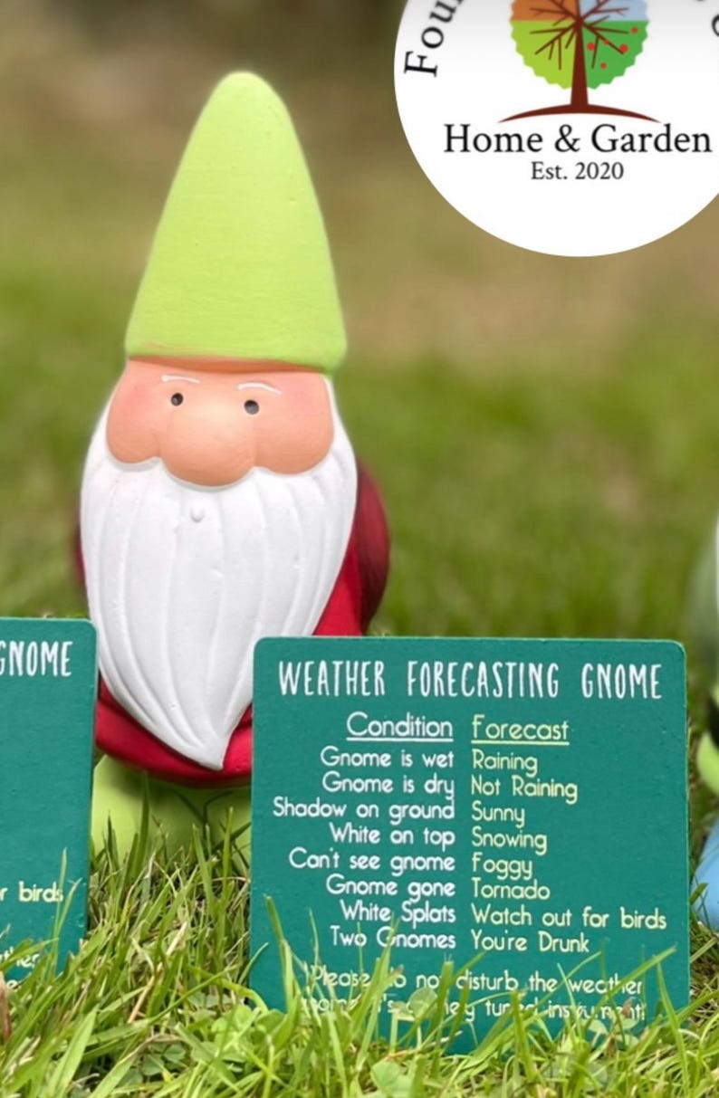 Personalised Garden Gnome Gift, Funny Weather Forecasting Gnome, Dad Grandad Gift, Custom Name Gnome Ornament, Novelty Garden Decor image 3