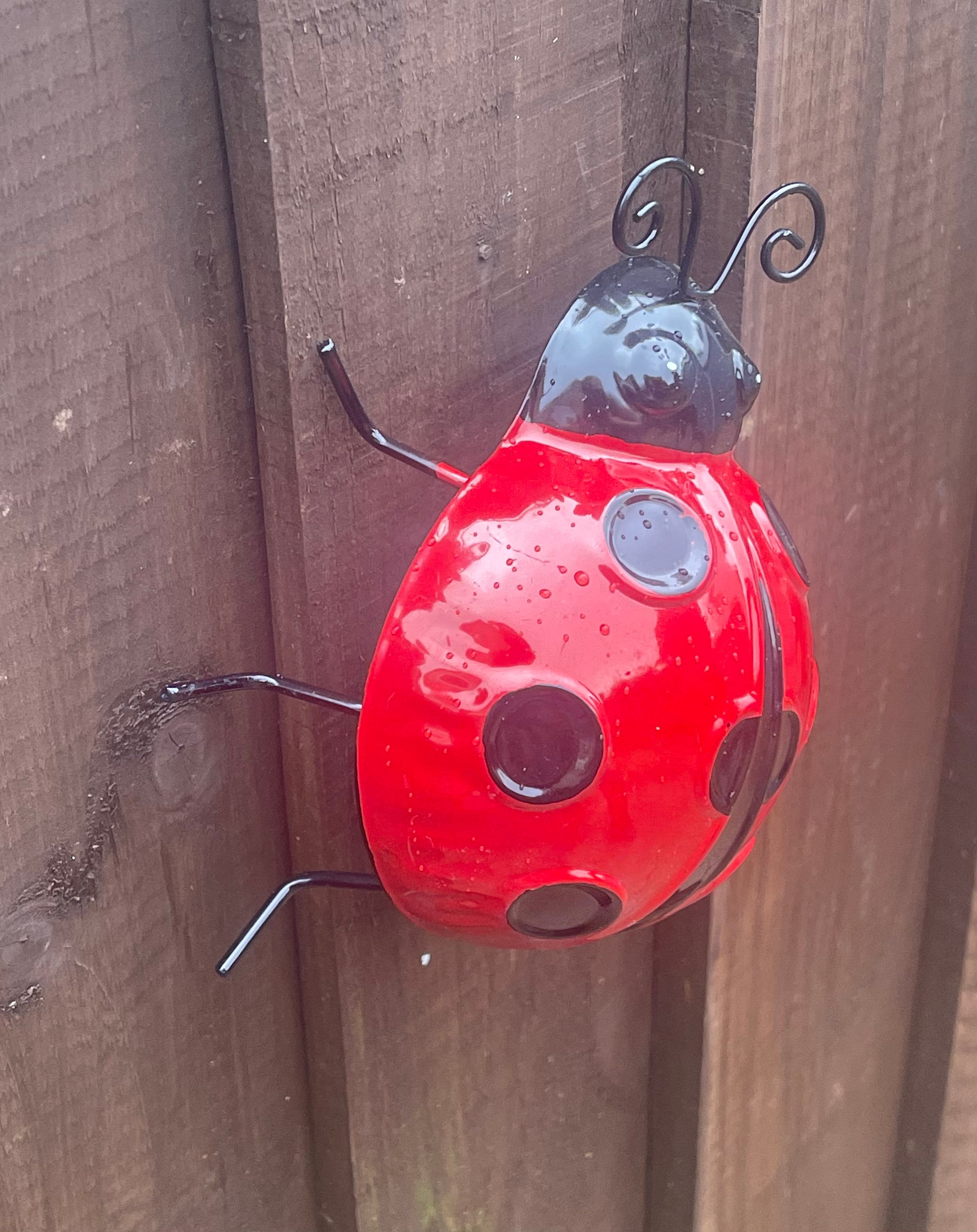 Large 3D Ladybird Garden Ornament Metal Wall Art Wall Hanging Etsy UK