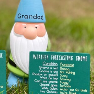 Personalised Garden Gnome Gift, Funny Weather Forecasting Gnome, Dad Grandad Gift, Custom Name Gnome Ornament, Novelty Garden Decor image 4