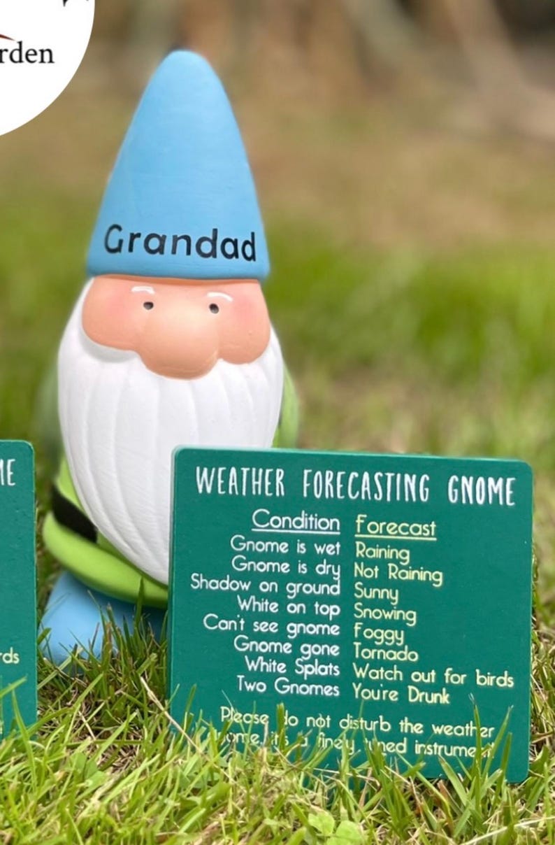 Personalised Garden Gnome Gift, Funny Weather Forecasting Gnome, Dad Grandad Gift, Custom Name Gnome Ornament, Novelty Garden Decor image 4