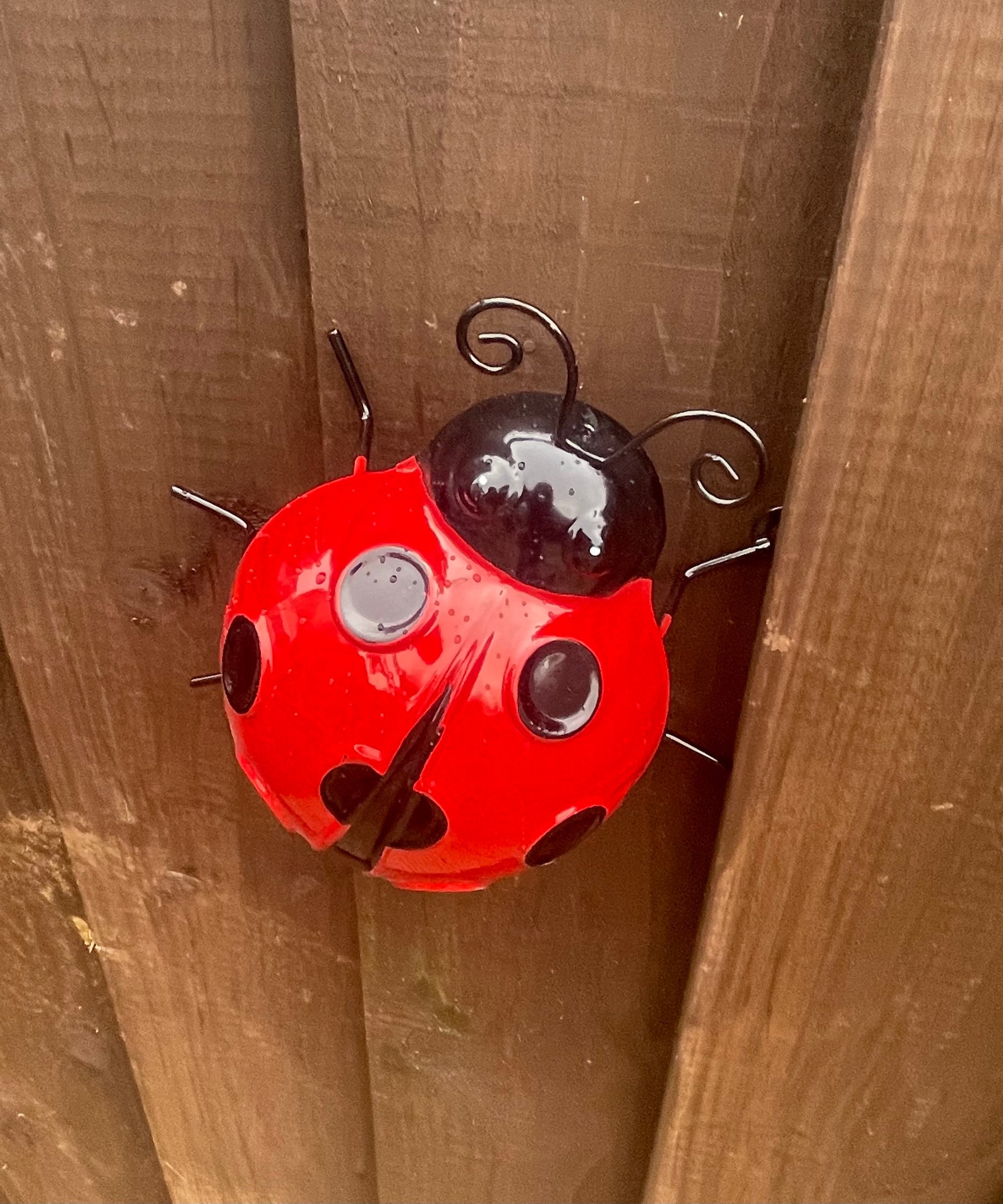 Large 3D Ladybird Garden Ornament Metal Wall Art Wall Hanging Etsy