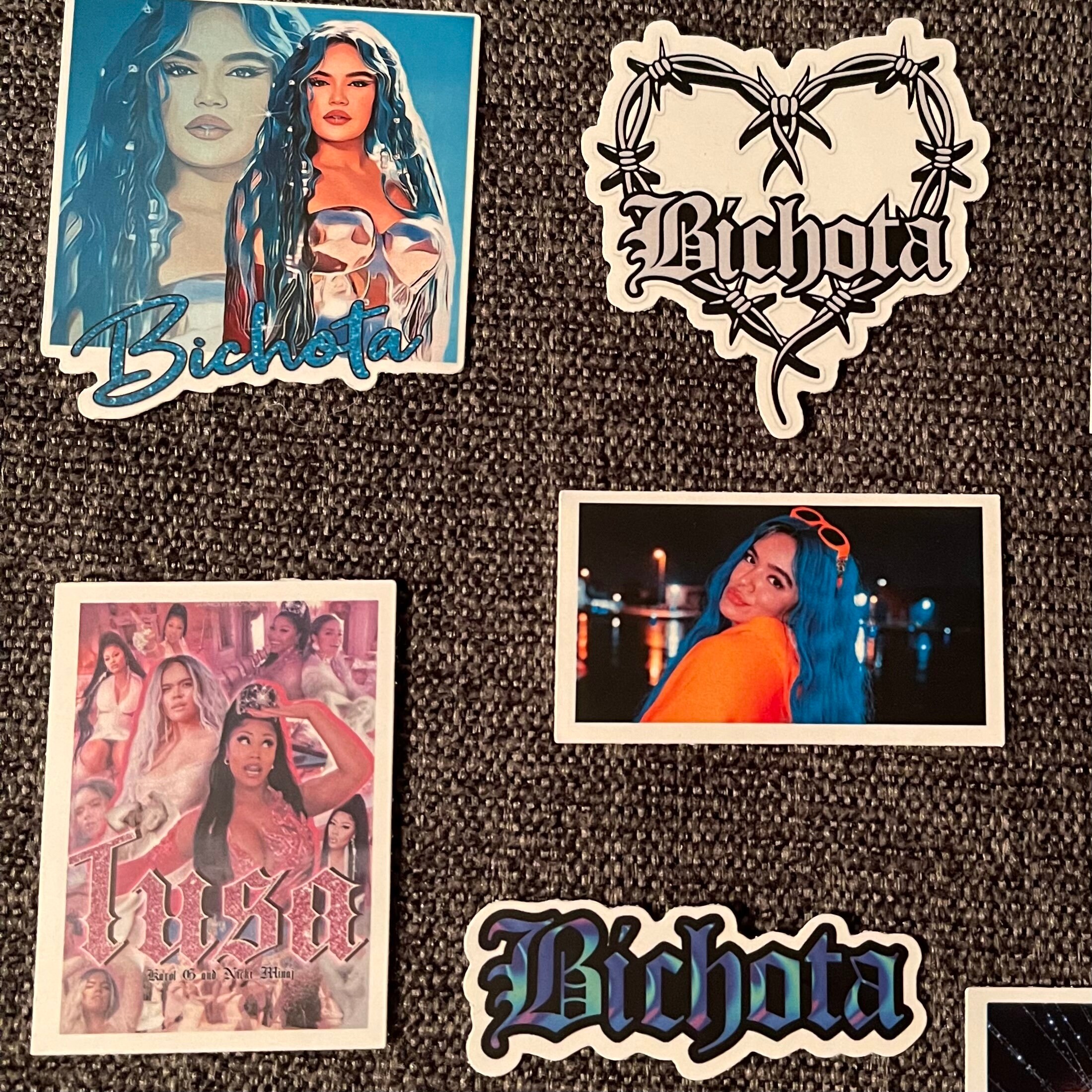 Karol G Stickers. 15pack. Karol G Vinyl. La Bichota Labels. Etsy Israel