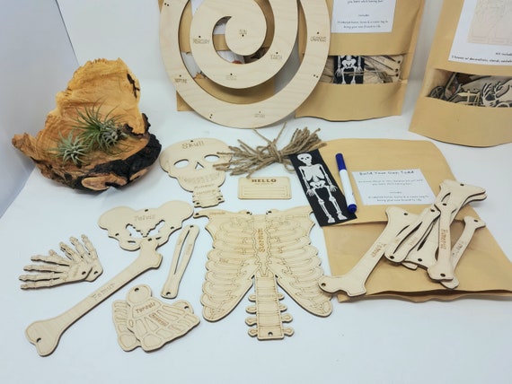 Skeleton Made Project Plastic Skeleton Abaodam Skeleton Model For Diy Unfinished Human ...