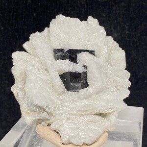 Black Tourmaline Crystal  With Feldspar , Natural Schrol Specimen from Skardu Pakistan - 72 gram , 55*45*21 mm