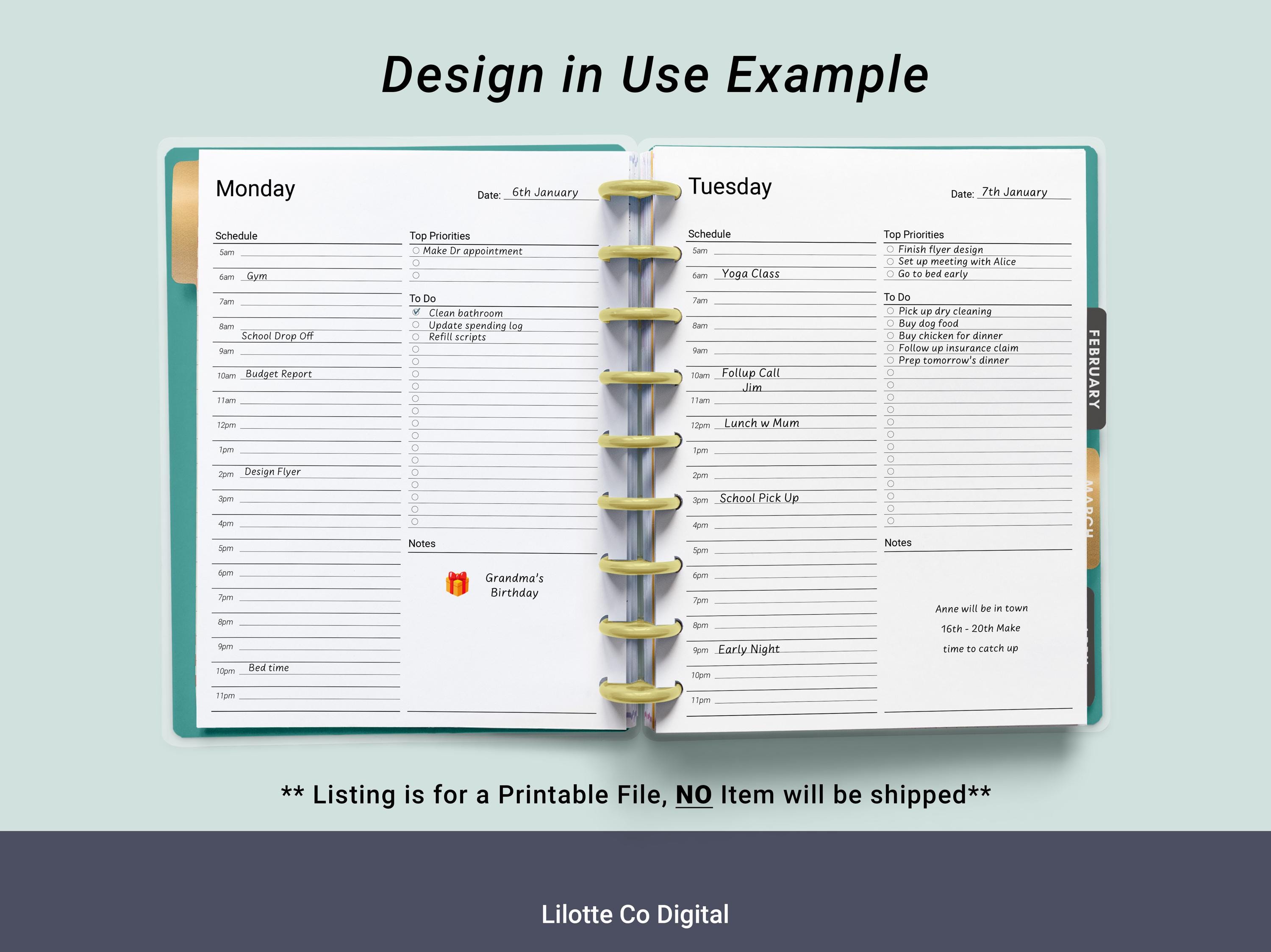 PRINTABLE Undated Daily Schedule Inserts for HP Classic Planners ...