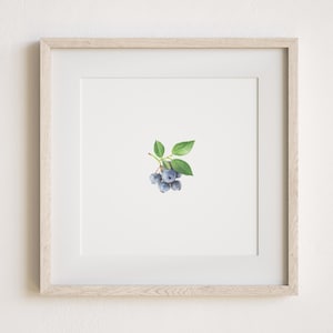 Mini Blueberries Watercolor Painting Print