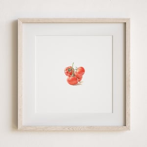Mini Tomatoes Watercolor Painting Print