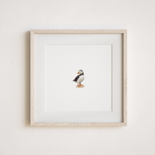 Miniature Puffin Painting Print in Watercolor