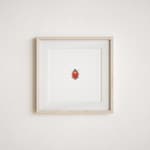 Ladybug Printables