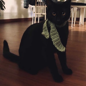 猫のスカーフ