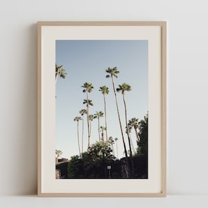 Palm Springs Photography Print: Desert Palm Tree Wall Art
