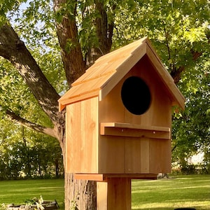 Large Owl House, Owl Nesting Box, Cedar with Shake Shingled Roof, Barred Owl, Barn Owl Box, Effective rodent control, Salt River, ships free