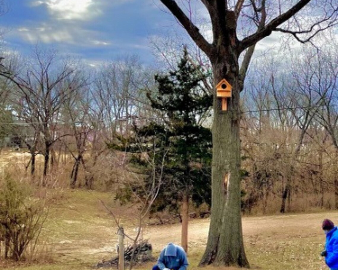 Large Owl House Owl Nesting Box Barred Owl Cedar Owl House Etsy