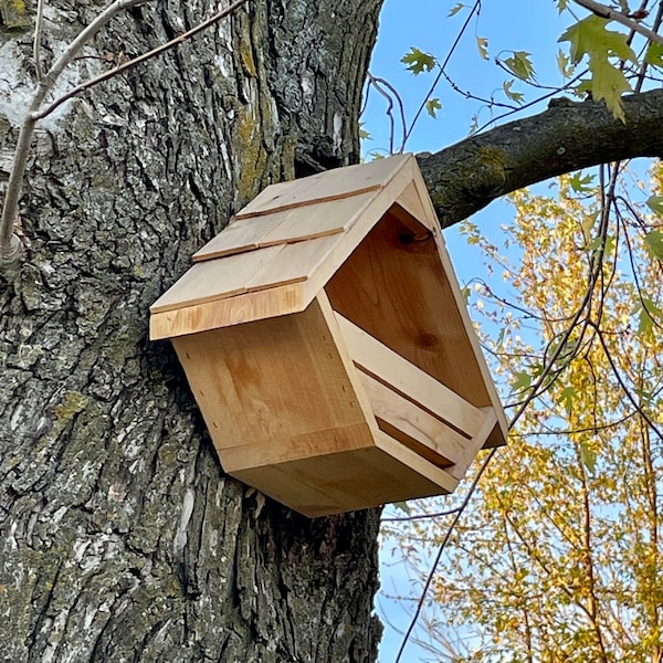 Salt River Dove House, Dove Box, Dove Nesting Box, Mourning Dove, White winged Dove, Inca Dove, Ground Dove, Band tailed Pigeon, free shippi