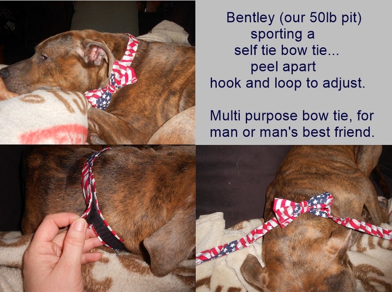 Wine Red-goldNavy Blue-silverForest Green-gold CurlsCurly CuesSwirls-cotton Self Tie Bow Tie peel apart to adjust and fit 14-20 neck