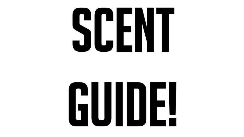 SCENT GUIDE Found in the Description Box Do NOT Purchase Please Scroll Past Add to Cart and Click Read Item Description to View image 1