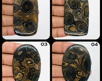 Square 31x33 mm Cabochon Minnesota Stromatolite Cabochon